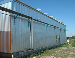 susara1